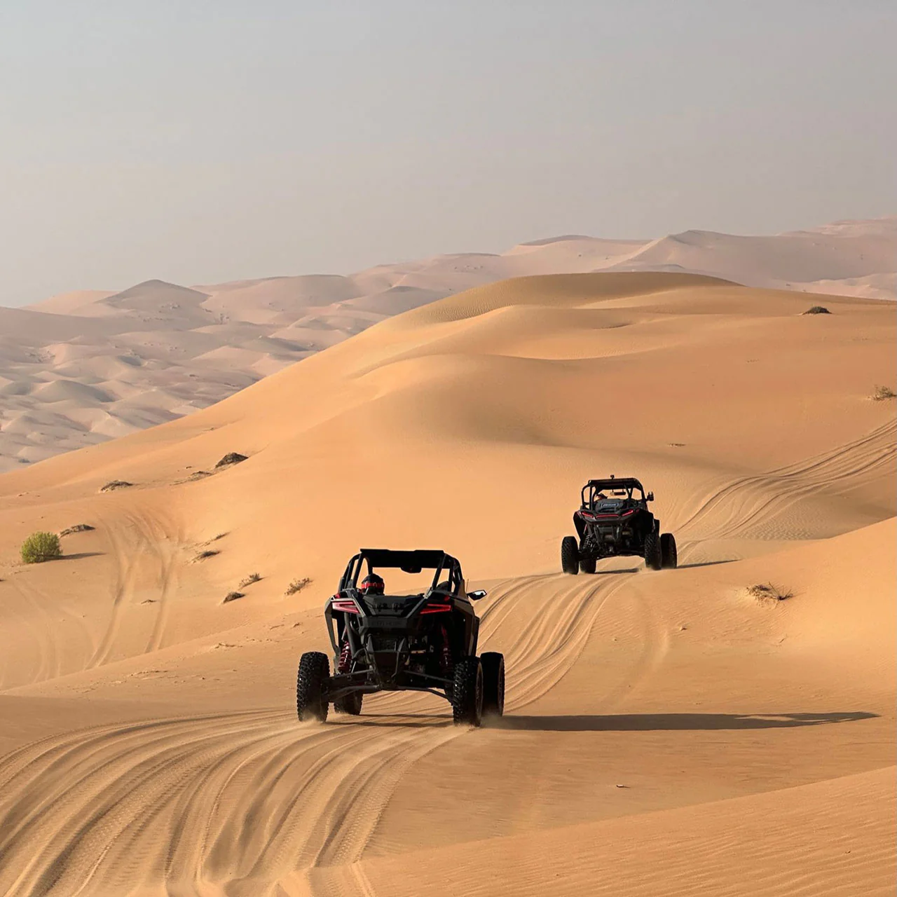 Arabian Desert Challenge - Image 10