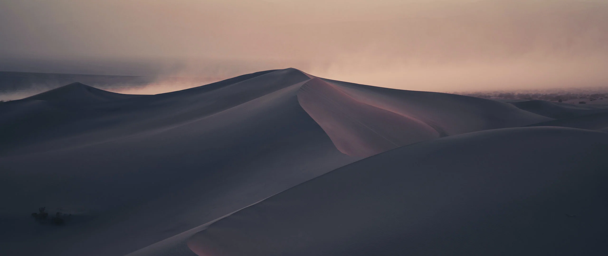 Arabian Desert Challenge - Image 16