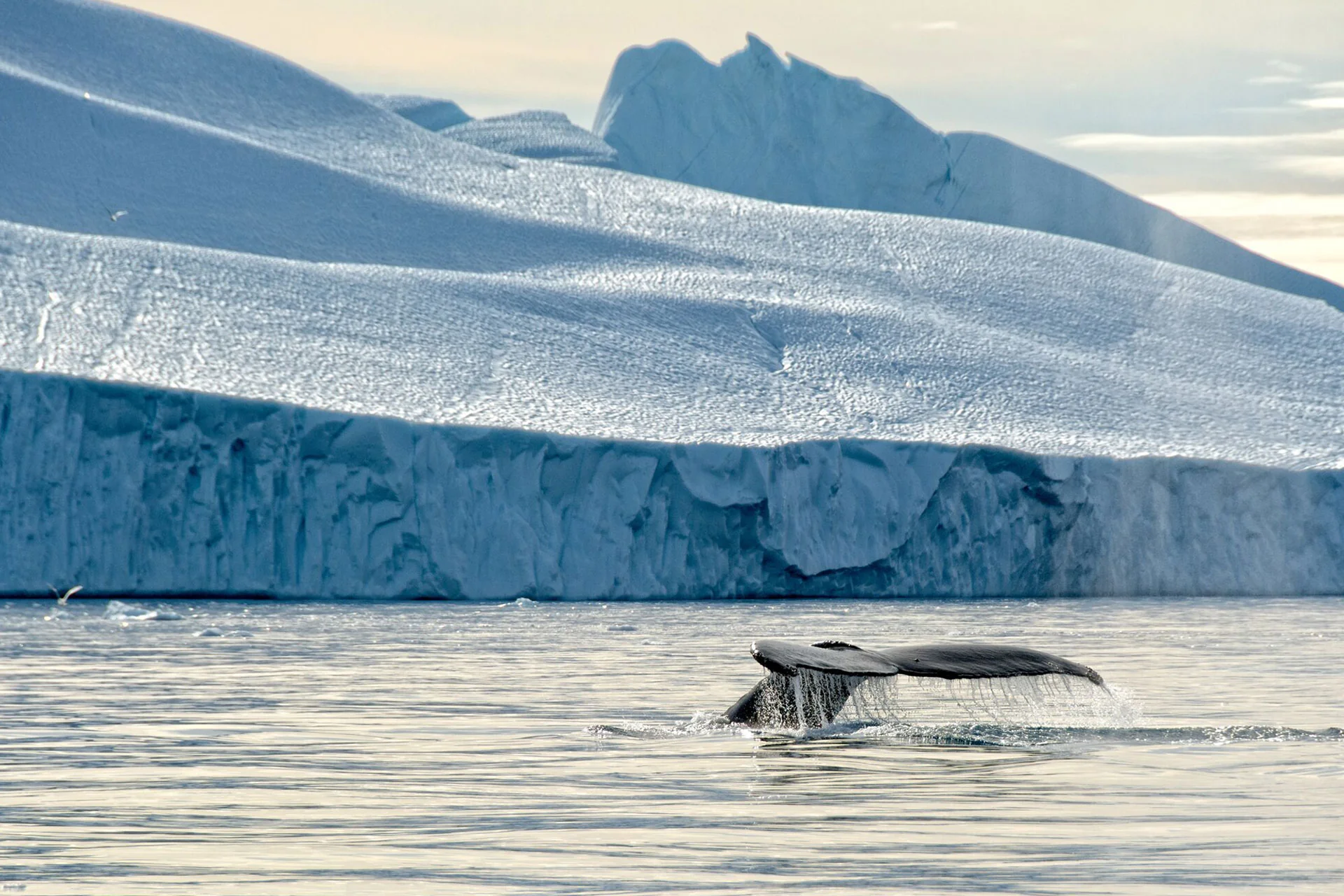 Greenland Ice Sheet Challenge - Image 13