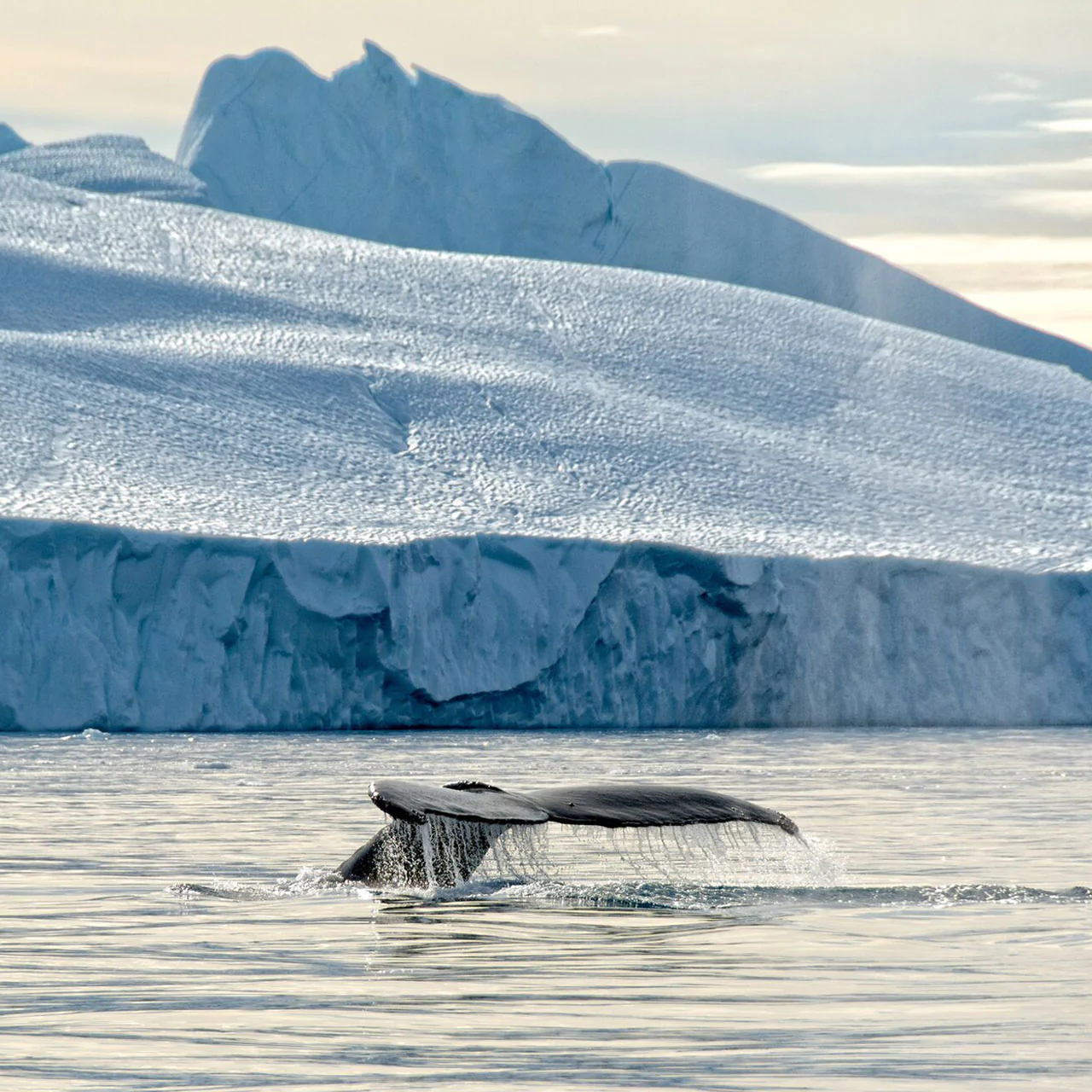 Greenland Ice Sheet Challenge - Image 4