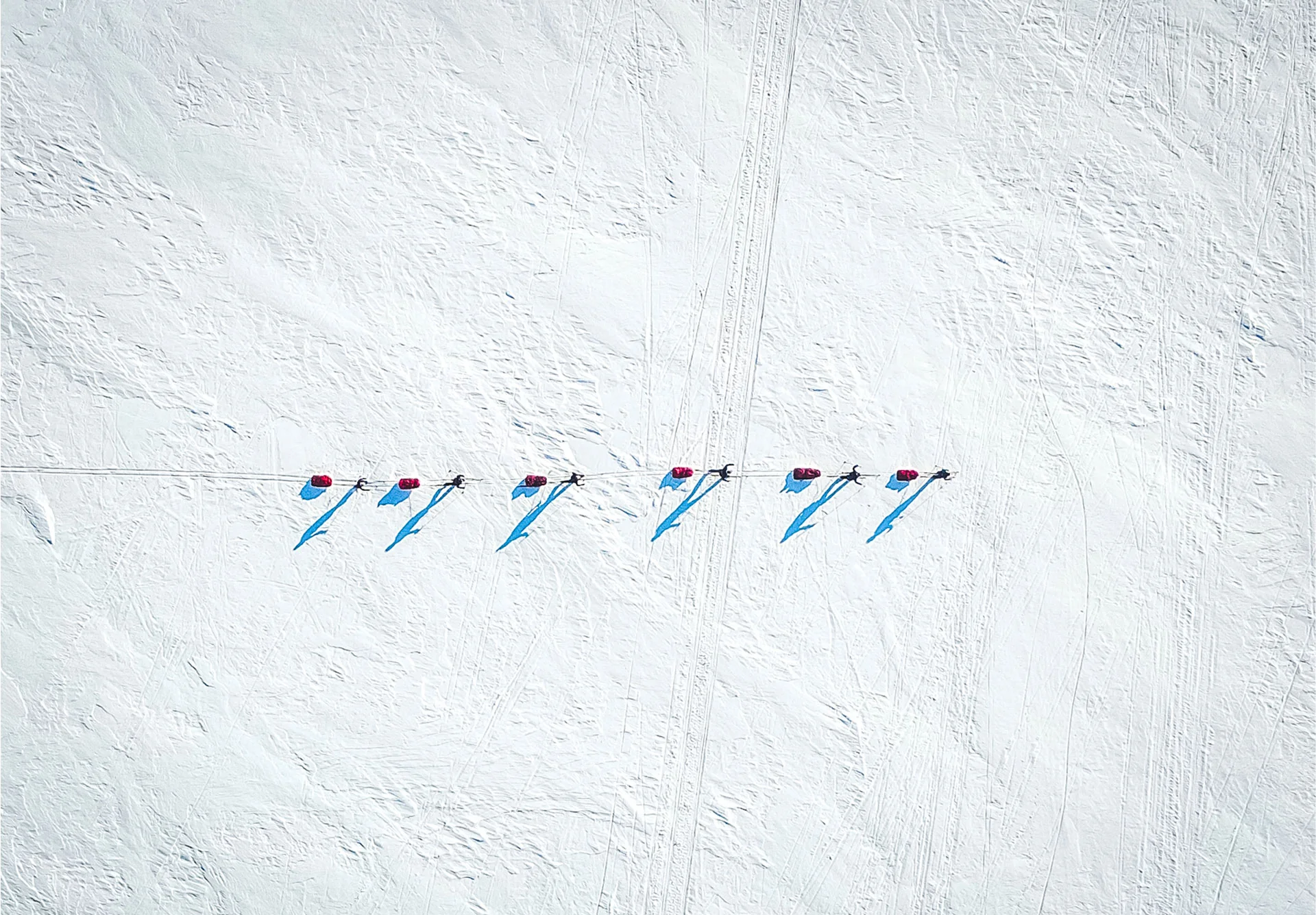 Svalbard Dog Sled and Snowmobile Challenge - Image 14