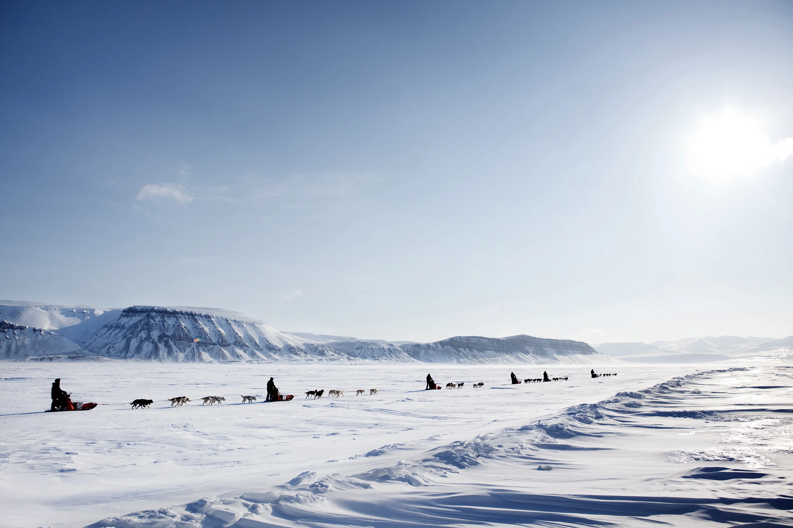 Svalbard Dog Sled and Snowmobile Challenge - Image 4