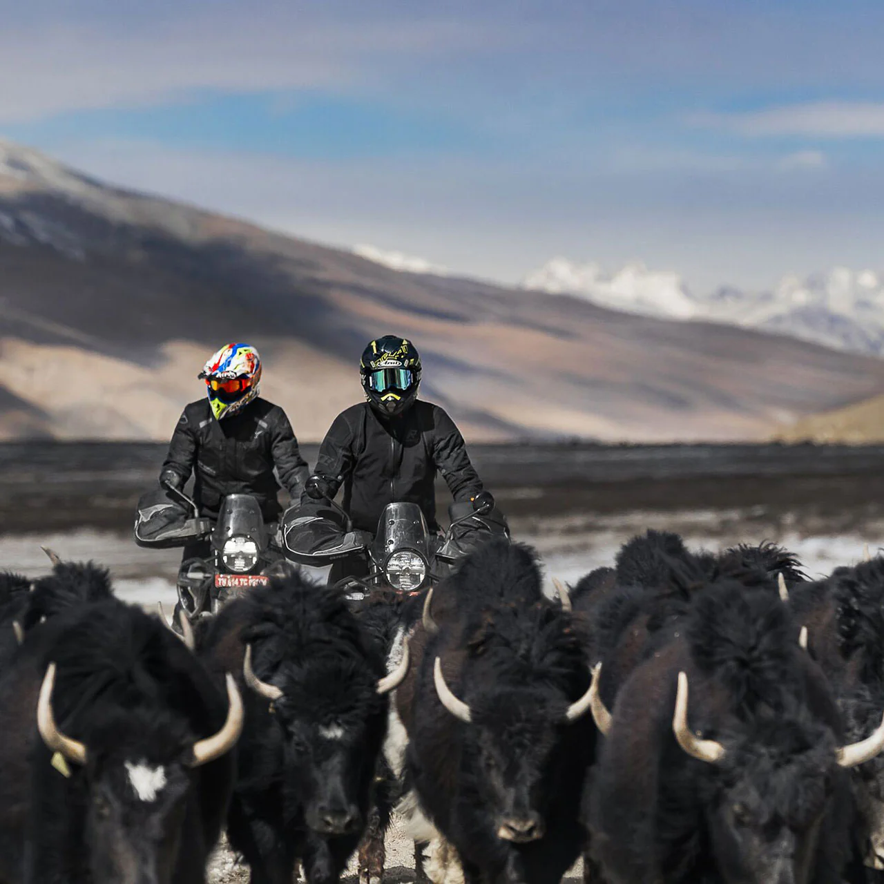 Himalayan Challenge - Image 5